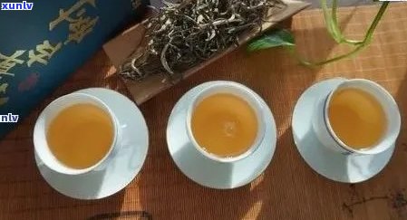 保杯泡普洱茶：选择还是误区？如何正确操作以保持茶叶品质