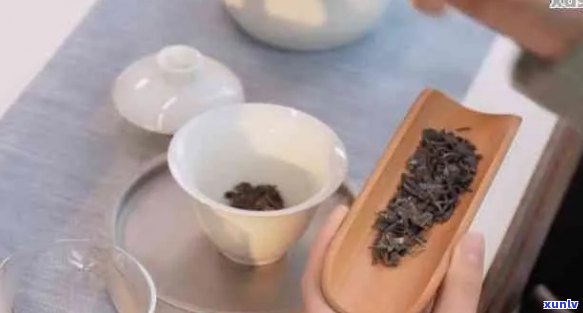 保杯怎么泡普洱茶