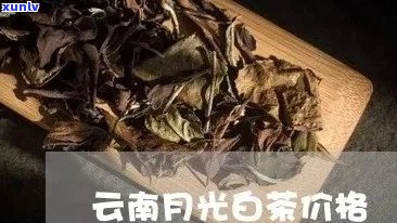 月光白普洱茶：价格、品质与选购指南，一次看懂！