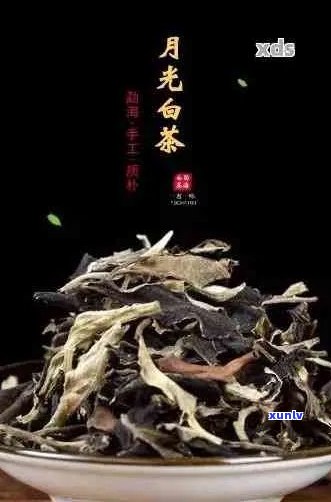 月光白普洱茶是白茶吗？月光白普洱茶的特点、功效与作用及与普洱茶的区别。