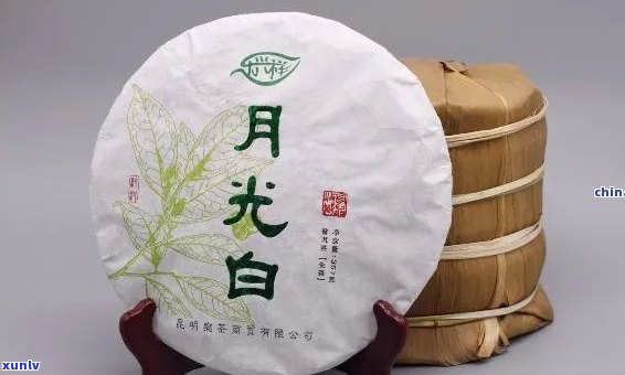 全球十大月光白普洱茶茶厂盘点：哪家的月光白普洱茶？