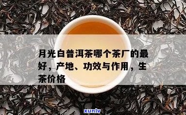 全球十大月光白普洱茶茶厂盘点：哪家的月光白普洱茶？