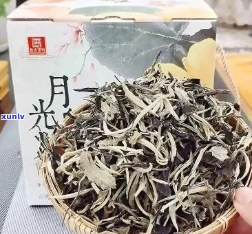 全球十大月光白普洱茶茶厂盘点：哪家的月光白普洱茶？