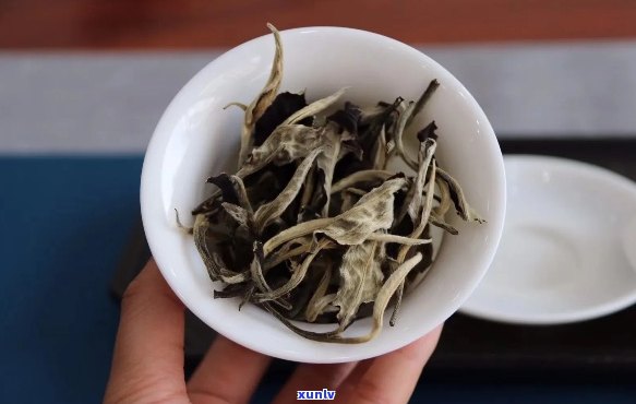 月光白普洱茶：纯净之味，古树原料，云南风土，珍藏佳品