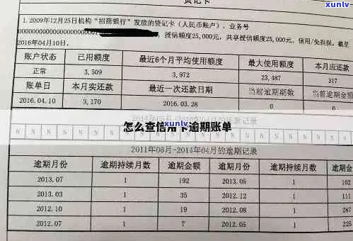 信用卡逾期说明模板范文怎么写：全面指南与建议