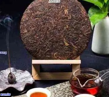 饼状普洱茶怎么泡：冲泡 *** 与口感体验