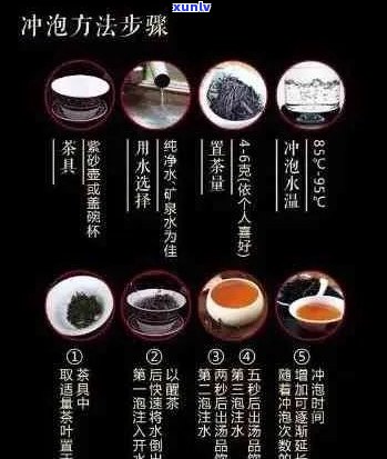 普洱茶的冲泡与煮熟：一份详细的指南