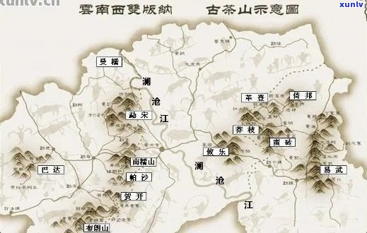 景迈山在普洱茶地位