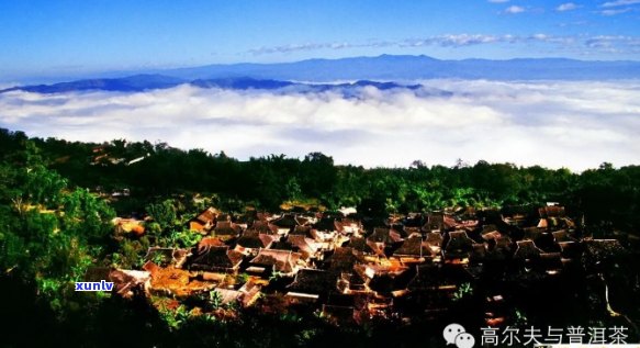 景迈山在普洱茶地位