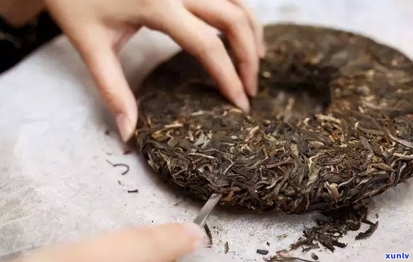 普洱大饼茶：一种别样品饮 *** 的探索，轻松撕开大饼茶的新技巧