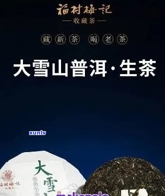 新 大益普洱茶官网报价，优质茶叶产品推荐，专业茶叶购买指南