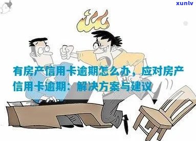 标题建议：关于房贷和信用卡逾期的全面解决策略与建议