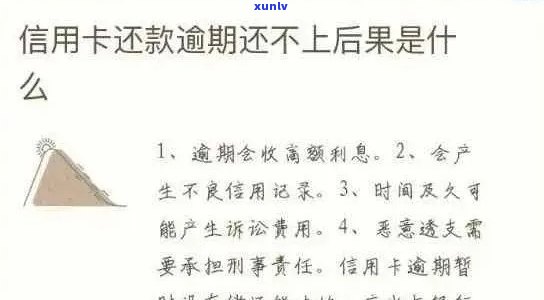 新我信用卡逾期还款了，该怎么办？nn关键词：信用卡、逾期、还款、怎么办