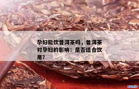 怀孕期间能否饮用普洱茶？答案及注意事项一览