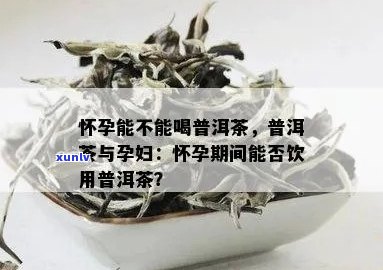 备孕期间能喝普洱茶