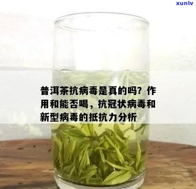 普洱茶杀灭乙肝病的原理及 *** ，喝了有好处吗？