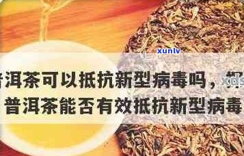 新 '探究普洱茶如何有效抑制乙肝病，助力健生活'