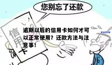 逾期还款后，信用卡是否依然可用？了解这些关键信息！