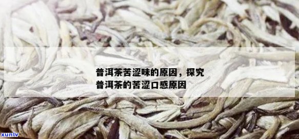 普洱茶苦到甜的原因及如何品味这种特殊口感