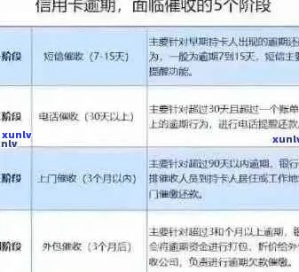 信用卡逾期6次的后果：影响、处理建议及修复时间