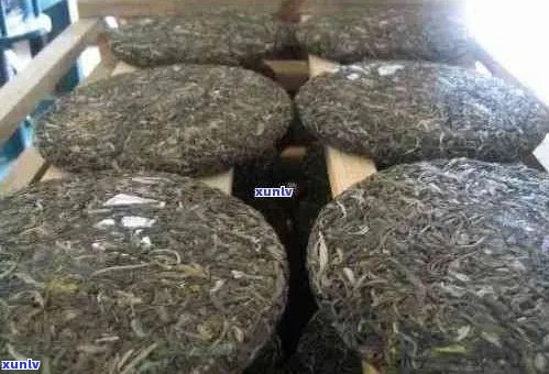 普洱茶饼：压制工艺对品质的影响及其不实压制的危害