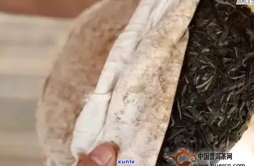 普洱茶饼：压制工艺对品质的影响及其不实压制的危害