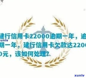 中国建设银行信用卡逾期超过一年的22000元债务处理策略