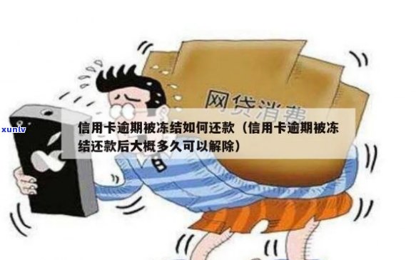 因为信用卡逾期蓄卡被冻结，还款后多久解封？ *** 能处理吗？