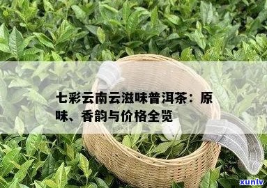 七彩云南普洱茶：香韵之价格分析，全方位品鉴指南