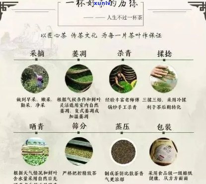 多伦多优质普洱茶购买指南：哪里可以买到正宗的普洱茶？