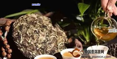 '肠胃炎可以喝普洱茶熟茶吗：女性及急性肠胃炎的适宜与否'