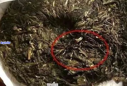 普洱茶冷后颜色变深的原因及解决 *** 全面解析