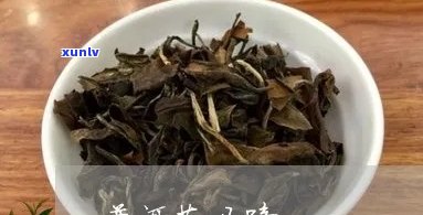 普洱茶有马蹄好不好喝？普洱茶叶中的马蹄是什么？普洱茶常识之三十一马蹄。