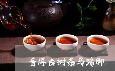 普洱茶马蹄的含义、种类及品饮 *** ：一个全面详实的解读