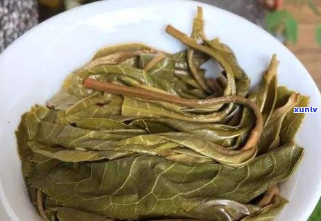 普洱茶茶青中的马蹄：这是什么？能喝吗？