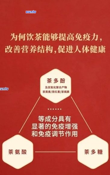 金士力普洱茶的全面功效解析：改善消化、增强免疫、抗氧化等多方面益处