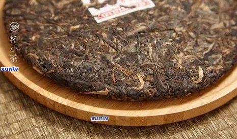 普洱茶饼一饼多重：精确克重与茶饼体积解析