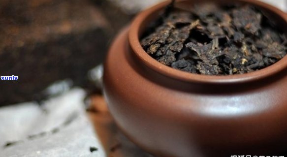 普洱茶可以存放在茶罐中吗？如何选择合适的茶罐保存普洱茶？