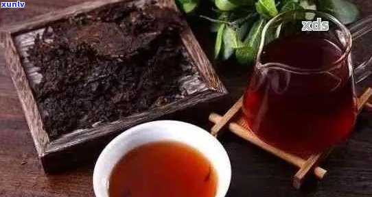 拉肚子时喝普洱茶：一杯还是风险并存？