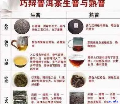 新手必试！普洱茶入门指南：推荐口感与品质俱佳的茶叶品种