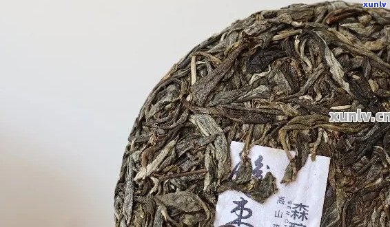 新手必试！普洱茶入门指南：推荐口感与品质俱佳的茶叶品种