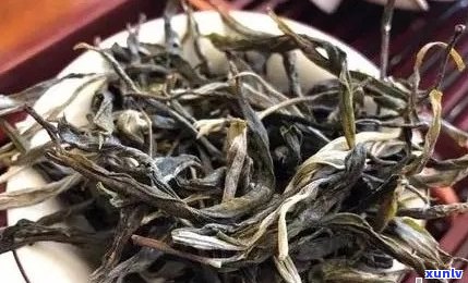 普洱茶单株价格：如何根据品质和市场行情判断？