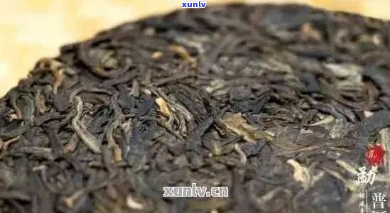 普洱茶单株价格指南：一斤多少钱？影响因素有哪些？