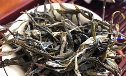 普洱茶单株价格指南：一斤多少钱？影响因素有哪些？