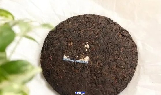 普洱茶饼包装纸坏了怎么办？如何保存？破了正常吗？