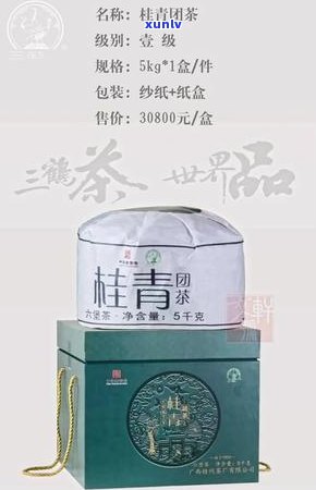 新 普洱茶金花出现年限的研究及其品饮价值探讨