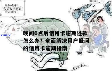 逾期信用卡还款指南：单位用户应对策略与常见疑问解答