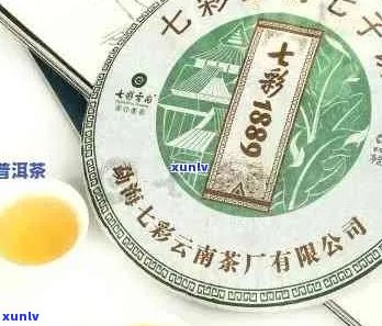 云南七彩茶：品质普洱茶叶的购物与品鉴之旅