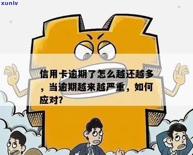 当信用卡逾期问题日益严重时，我们应该如何应对？