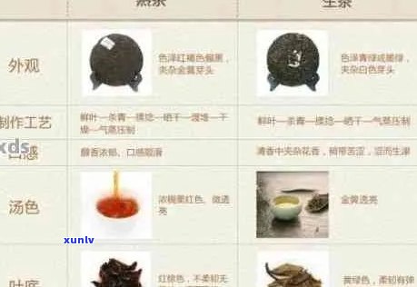 普洱茶叶：红茶还是其他类型？解答普洱茶叶的基本分类和特点